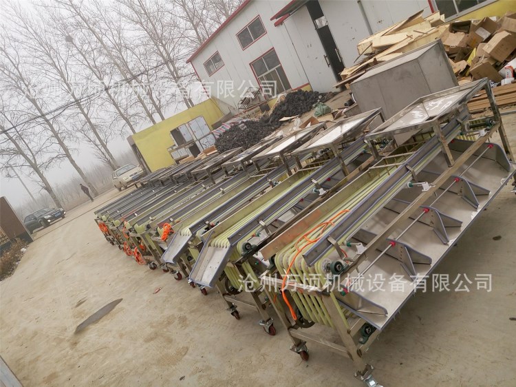 楊梅篩選機圣女果分級機長紅棗分選機