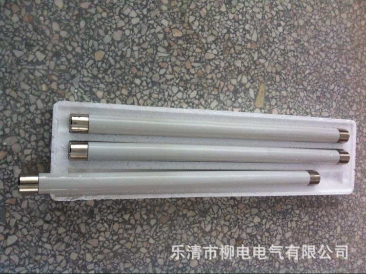 XRNP1-10/0.熔斷器 高壓互感器保護用