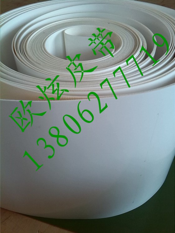 【廠家熱賣】白色食品輸送機皮帶