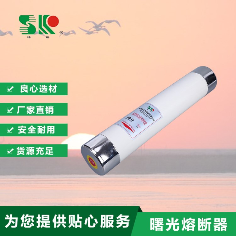 W型電動機(jī)保護(hù)高分?jǐn)嗄芰?插入式 XRNM-12KV/12 高壓限流熔斷器