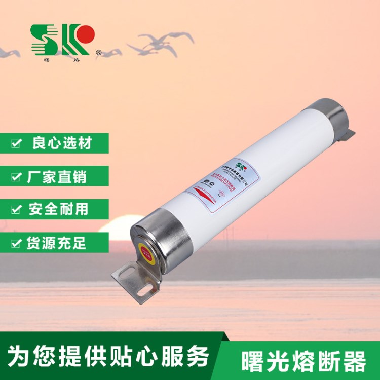 曙光W型電動(dòng)機(jī)保護(hù) 高分?jǐn)嗄芰?母線(xiàn)式 XRNM-12KV 高壓限流熔斷器