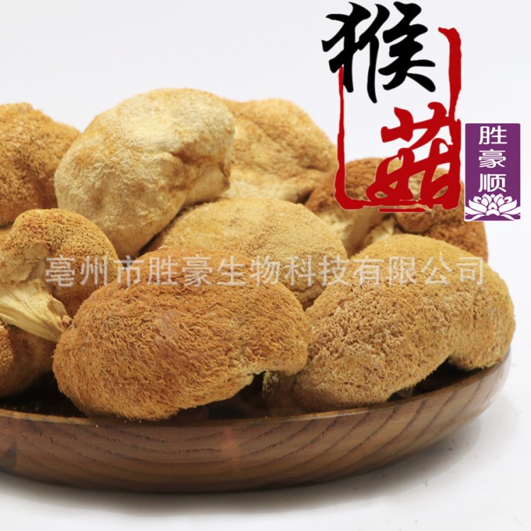 批發(fā)/花茶/傳統(tǒng)滋補(bǔ)品/猴頭菇干貨/猴頭菇/猴菇/猴頭菇粉代工/