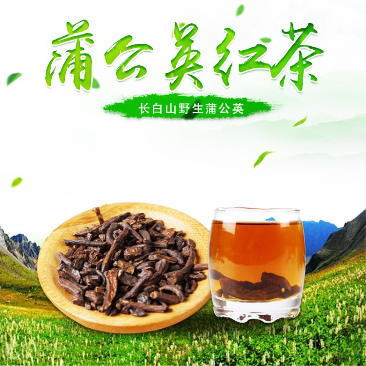 長白山特產(chǎn)野生蒲公英根茶 發(fā)酵紅茶125g/盒特產(chǎn)蒲公英茶一件代發(fā)