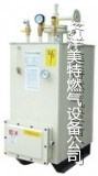 電熱式氣化器，中邦氣化爐批發(fā) 壁掛式氣化器深圳生產(chǎn)商