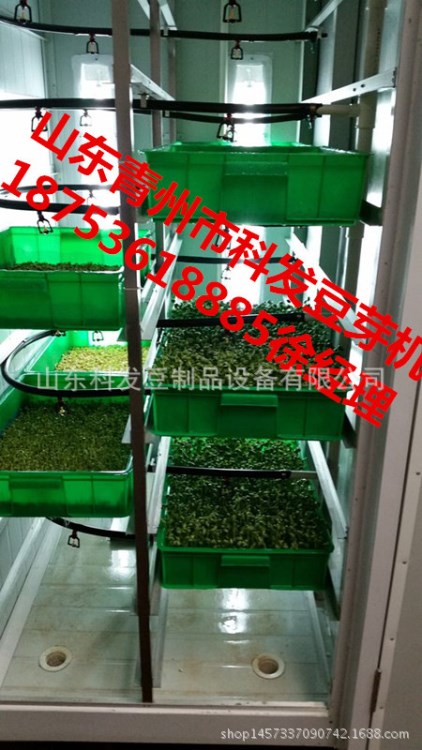 廠家直銷豆芽機 商用芽苗機芽苗機 苗菜機器