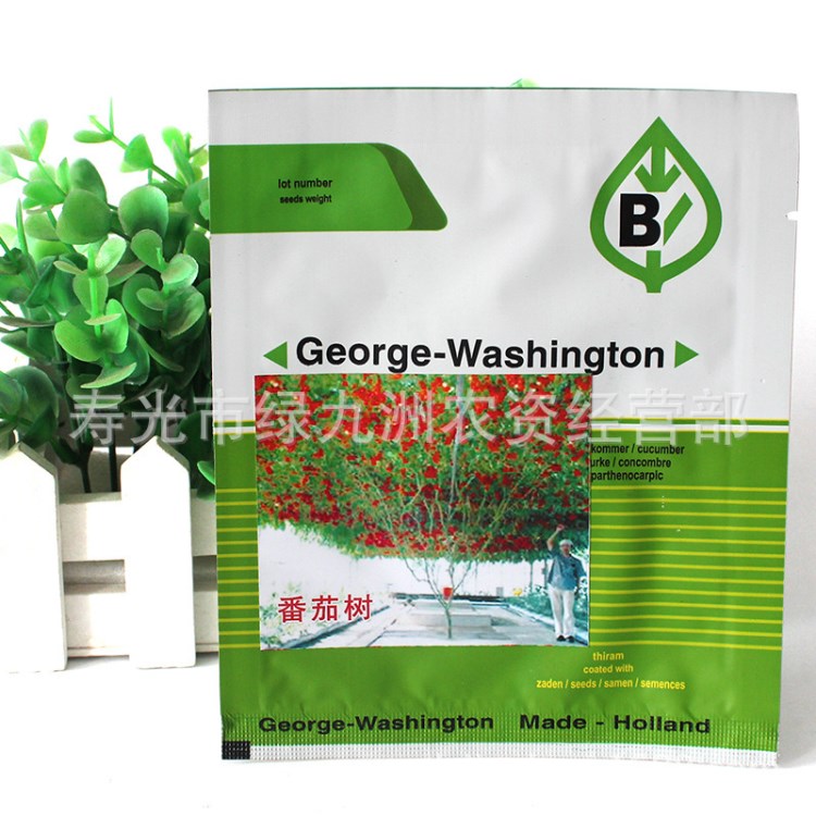 壽光菜博會(huì)專用品種 番茄樹(shù)種子 產(chǎn)量可達(dá)8000果/棵 1粒