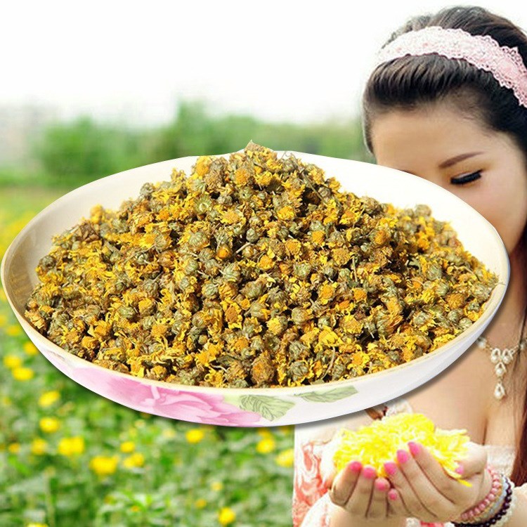 供應(yīng)原生態(tài)上等野菊花 防輻射天然野菊花 清熱去火野菊花干凈無(wú)雜