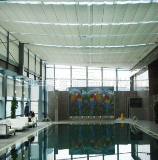 廠家 PTS雙軌電動天棚簾 陽光房電動天棚簾 設計電動天棚簾