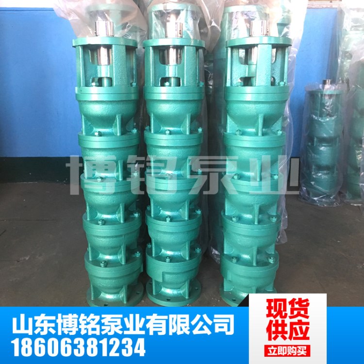 水泵廠家直銷高品質(zhì)不銹鋼潛水泵 邊立單吸式高揚(yáng)程深井 潛水泵