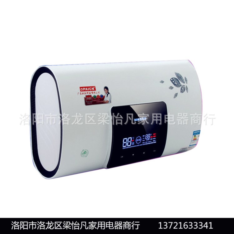 批發(fā)電熱水器 大屏電腦遙控電熱水器 鐵外殼儲(chǔ)水式熱水器