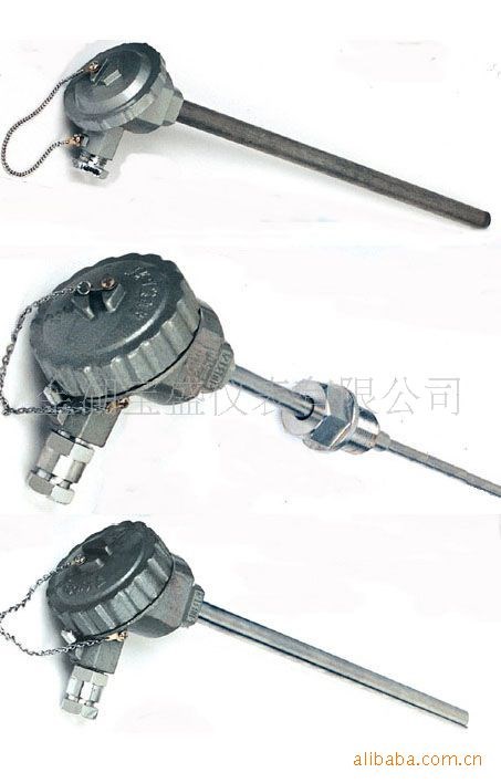 供應(yīng)精品 熱電偶（wzp-220 ）材質(zhì)304 質(zhì)量三包 價(jià)格優(yōu)惠