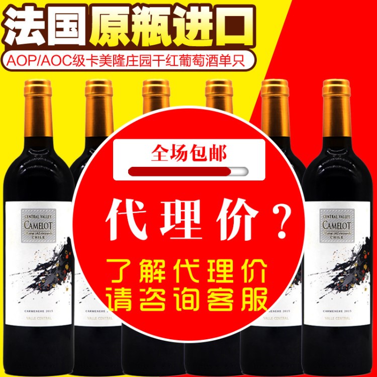 紅酒原瓶原裝干紅葡萄酒智利新品包郵代理招商批發(fā)加盟