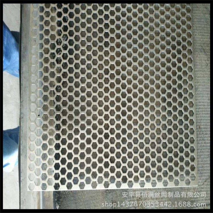 廠家直銷沖孔喇叭網 新款上架鐵板沖孔網批量定做 精美裝飾沖孔網