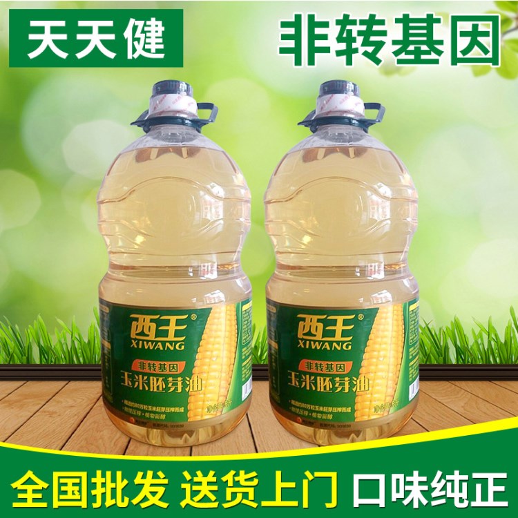 供應壓榨一級5L西玉米胚芽油 非轉(zhuǎn)基因玉米油