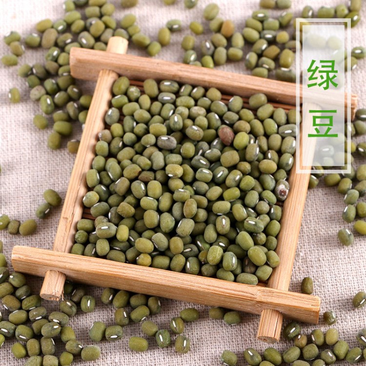 綠豆亮綠豆明綠豆笨綠豆小綠豆 新鮮綠豆