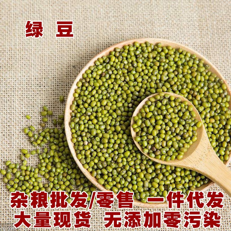 東北自產小綠豆 五谷雜糧豆易煮爛批發500g散裝 農家自產現貨綠豆
