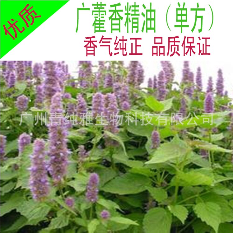 廣霍香精油 單方香薰精油 化妝品護膚diy原料批發(fā) 日化香精直銷