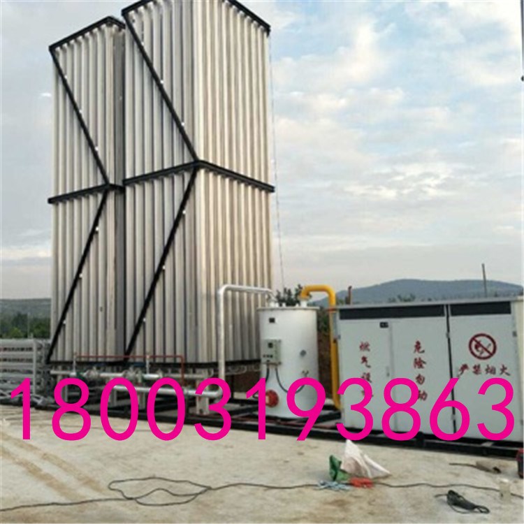 氣化器 LNG汽化撬 煤氣氣化器 CNG減壓裝 汽化器 空溫式撬裝