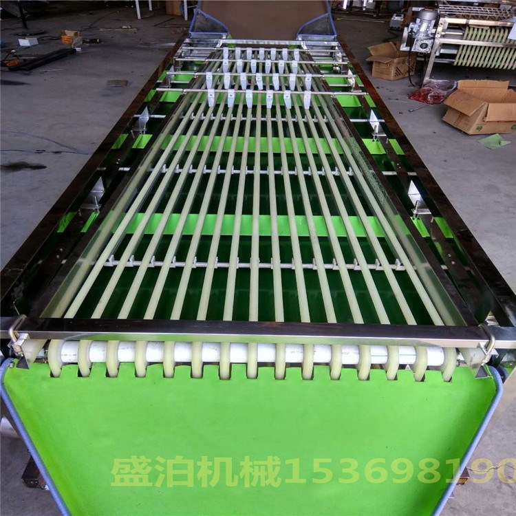 大型軌道式海棠果分果機 全不銹鋼304/201材質