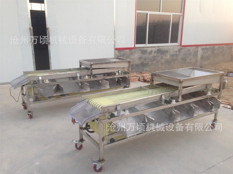 酥脆棗篩棗機保德油棗分級機滄州雞心棗分選機