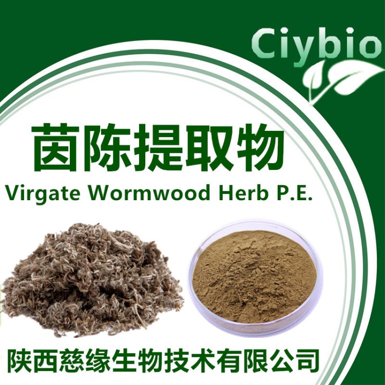 茵陳提取物10:1 Virgate Wormwood Herb P.E. 包郵