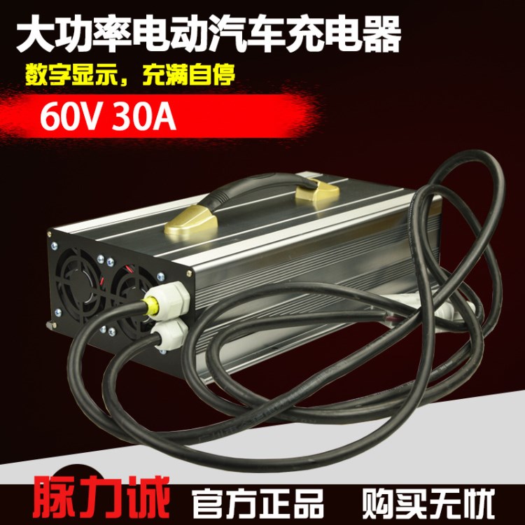 觀光車電瓶充電器60V30A電動(dòng)汽車游覽車大電池210AH快速充電機(jī)