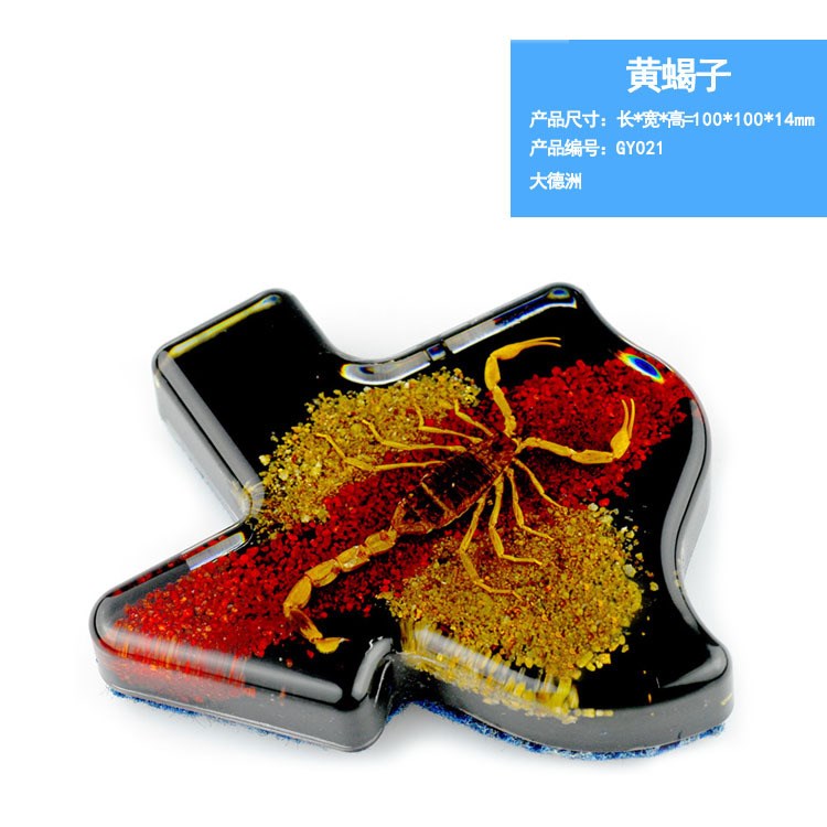 黃蝎子包埋昆蟲標(biāo)本人工琥珀書鎮(zhèn)樹(shù)脂 德洲形擺件外貿(mào)創(chuàng)意禮品