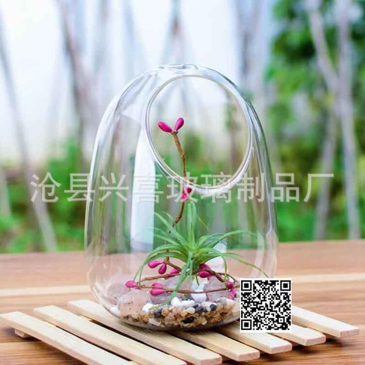 新款透明蛋形微景觀生態瓶 家居擺飾花瓶 工廠直銷