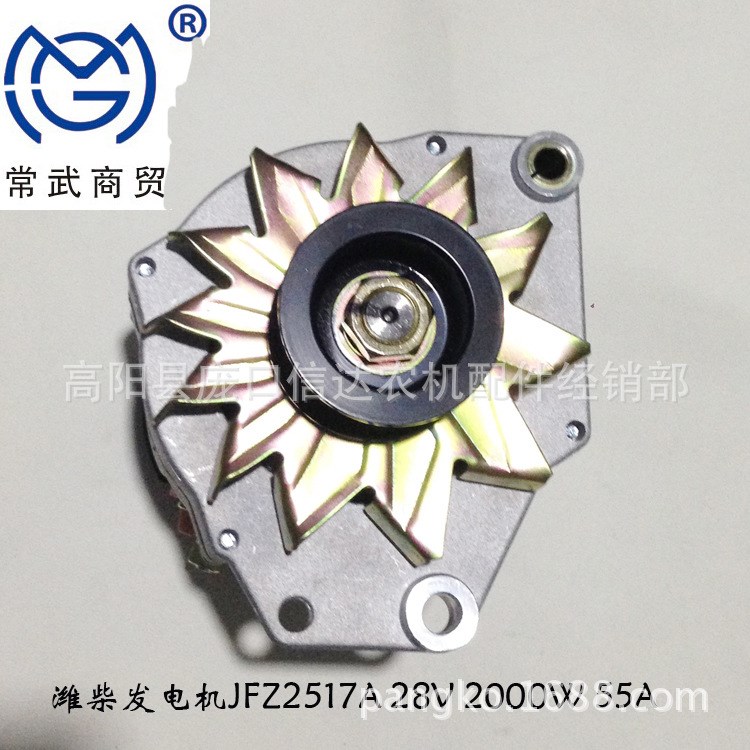 解放 豪沃 德龍發(fā)電機 濰柴發(fā)電機JFZ2517A 8PK60 28V5 2000W