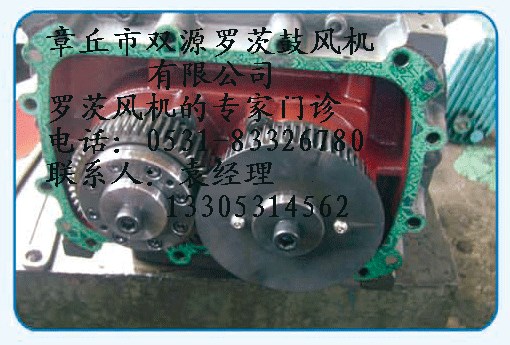 章丘雙源維修羅茨鼓風機