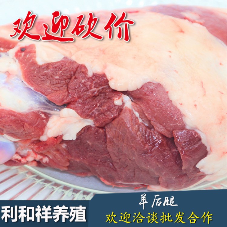 新疆羊肉 大草原羔鮮羊腿 肉類廠家直銷 冷凍生鮮 牛羊肉廠家批發(fā)