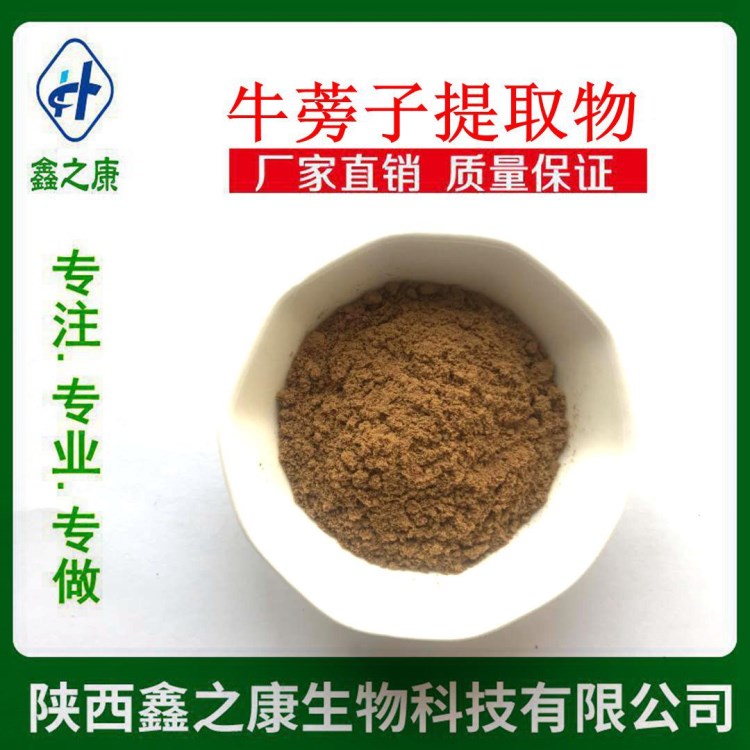 牛蒡子提取物 10：1 廠家現(xiàn)貨直銷 保健品原料  天然牛蒡子粉