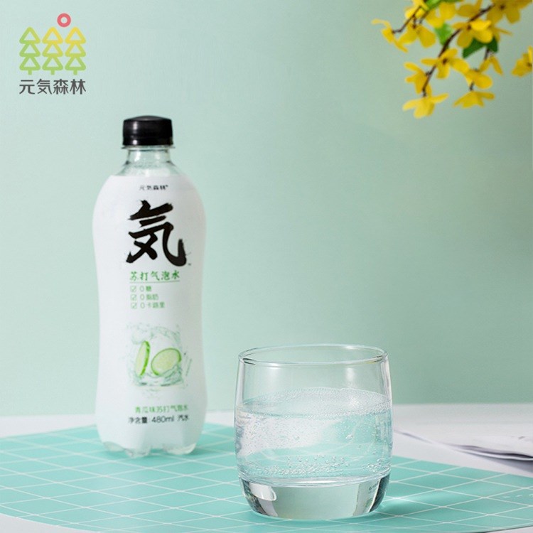 元?dú)萆中缕窡o糖飲料 蘇打氣泡水480ml 瓶裝0脂0卡青瓜味氣泡水