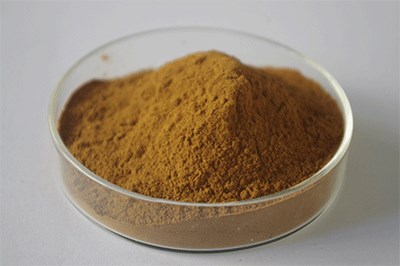 芹菜素0.5% 芹菜籽提取物 芹菜籽粉 芹菜子提取物 芹菜子粉亞麻酸