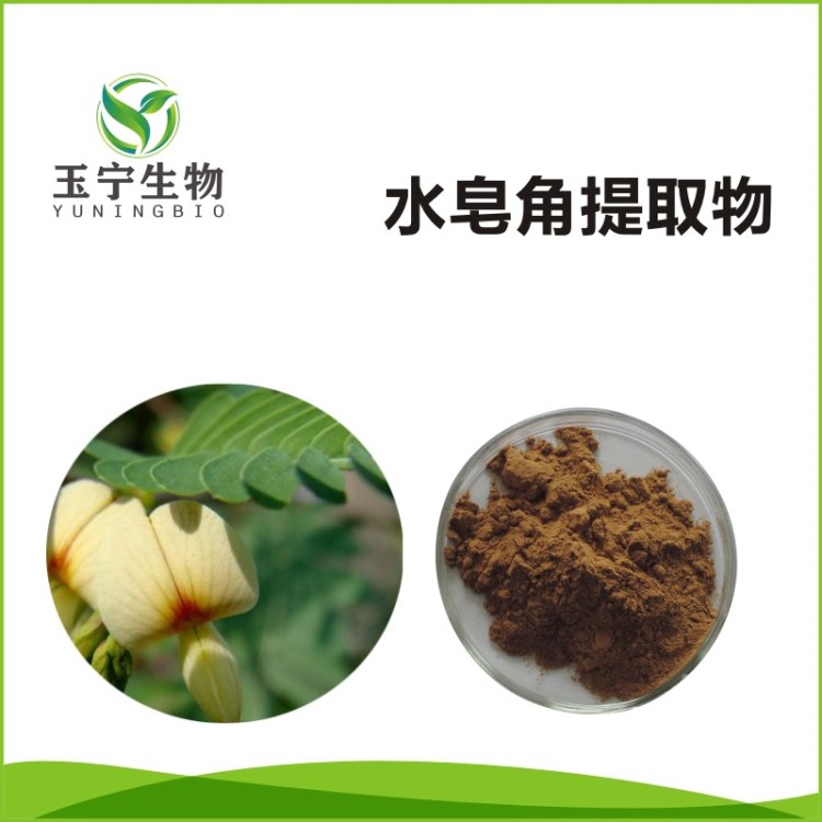 工廠現(xiàn)貨 高品質 源自天然 水皂角提取物 10:1 Cassia Nomame Ext