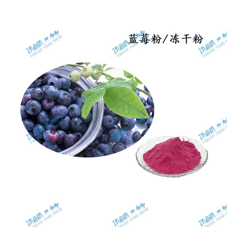 SGS工廠(chǎng)大量供應(yīng)現(xiàn)貨藍(lán)莓粉可用于烘焙食品原料價(jià)格實(shí)惠