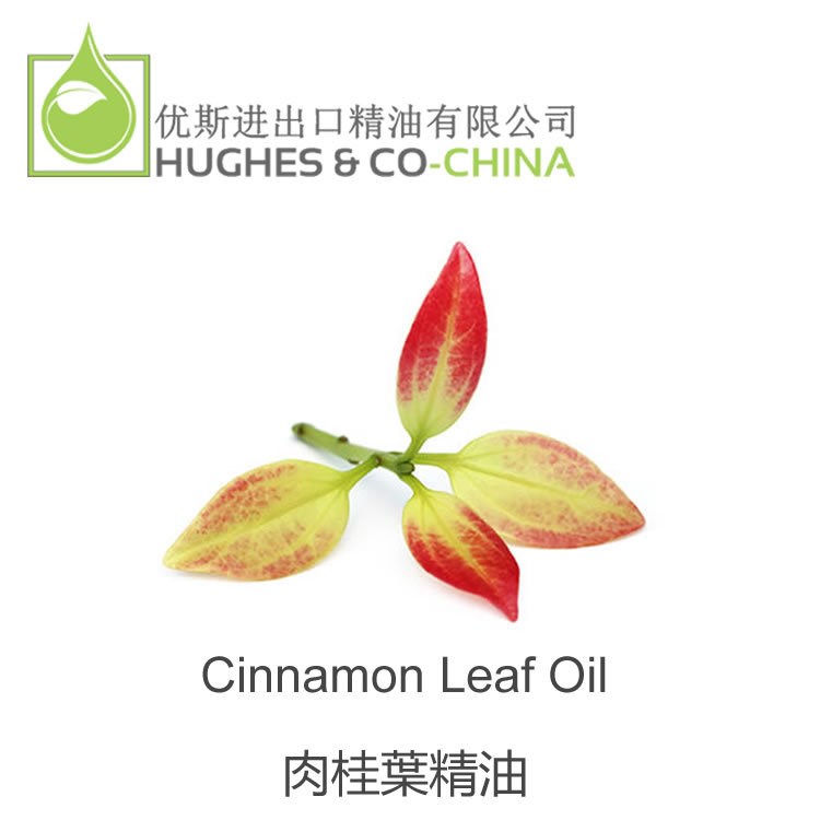 Cinnamon Leaf Essential Oil 錫蘭肉桂葉精油 英國(guó)  500ML