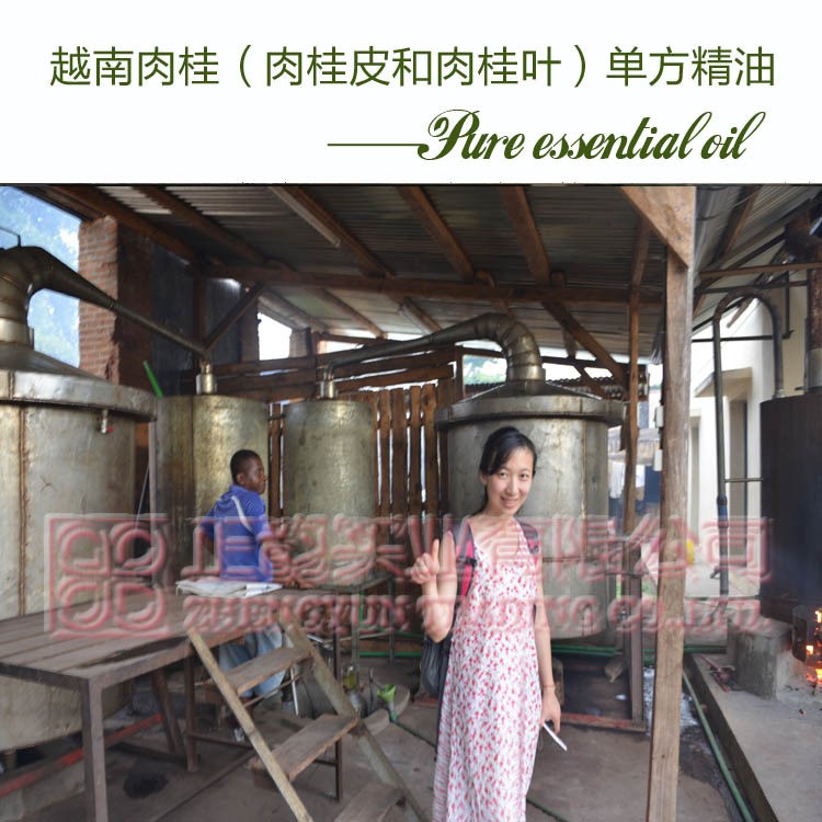 越南肉桂單方精原料500ML以上批發OEM天然植物精油Cinnamon Oil