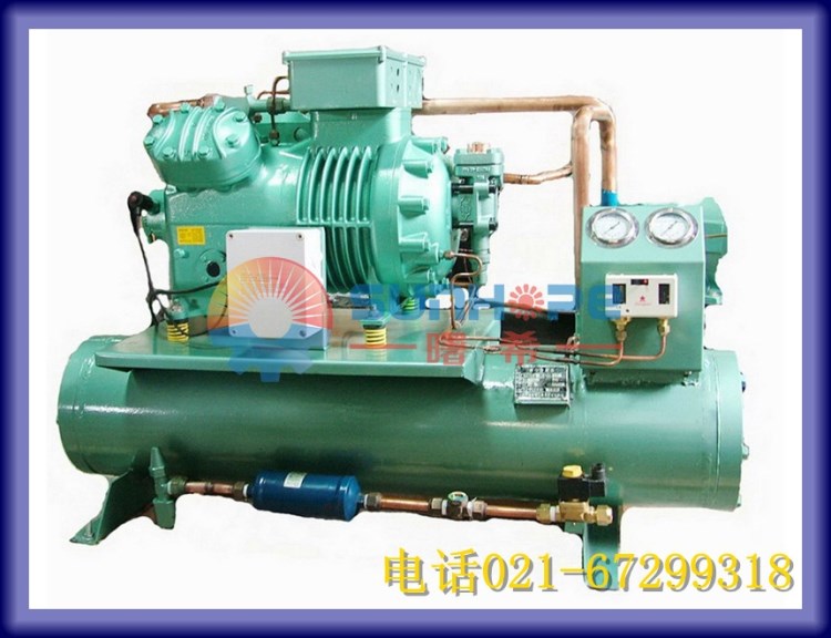 4VES-10（Y）德國比澤爾活塞式水冷機組 冷庫冷水制冰海鮮機