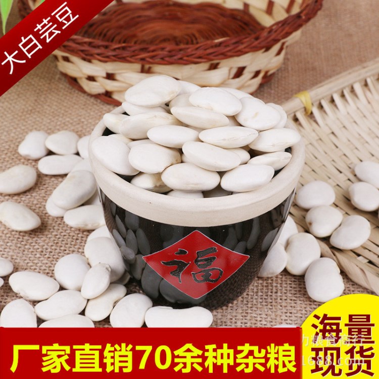 廠家直銷糧食蕓豆農(nóng)家自產(chǎn)五谷雜糧批發(fā)散裝粗糧大白蕓豆
