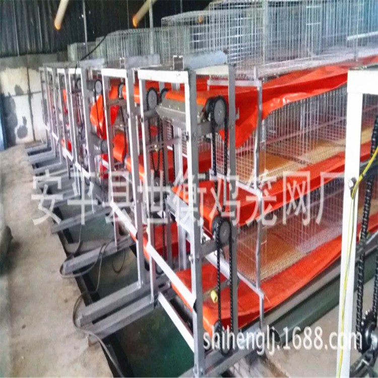 輸送帶肉雞籠 鍋爐 喂料機(jī)成套養(yǎng)殖設(shè)備