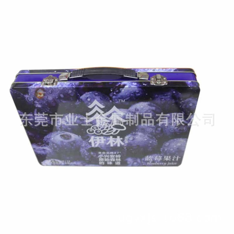 供應馬口鐵長方形口服液鐵盒 帶提手瓶裝藥品包裝鐵盒