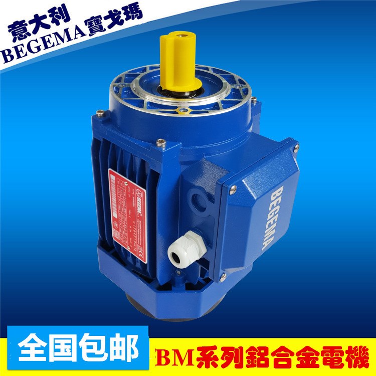 廠(chǎng)家銷(xiāo)售BM6324-0.18KW B14 立式異步電機(jī) 鋁合金電機(jī) 三相電機(jī)