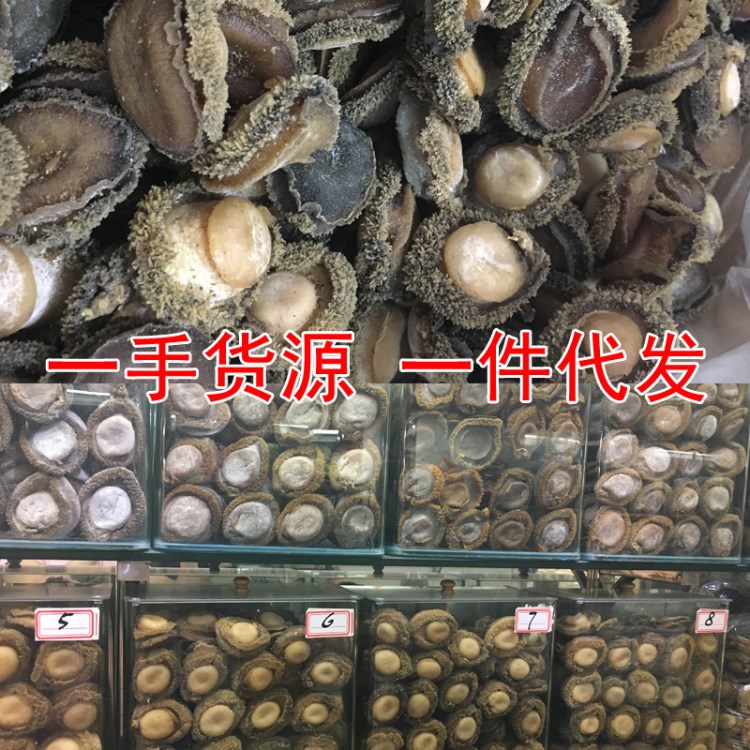 野生鮑魚干鮑魚糖心鮑魚批發(fā)一件代發(fā)產(chǎn)地直批中秋送禮