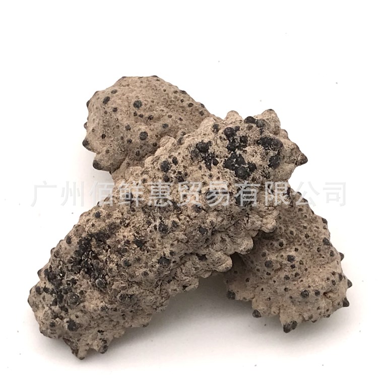 南美参足参天然海域淡干海参水产干货海参干货250g