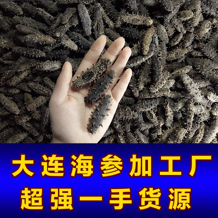 養參人大連淡干海參批發海參干貨 穩定一手貨源遼參50g