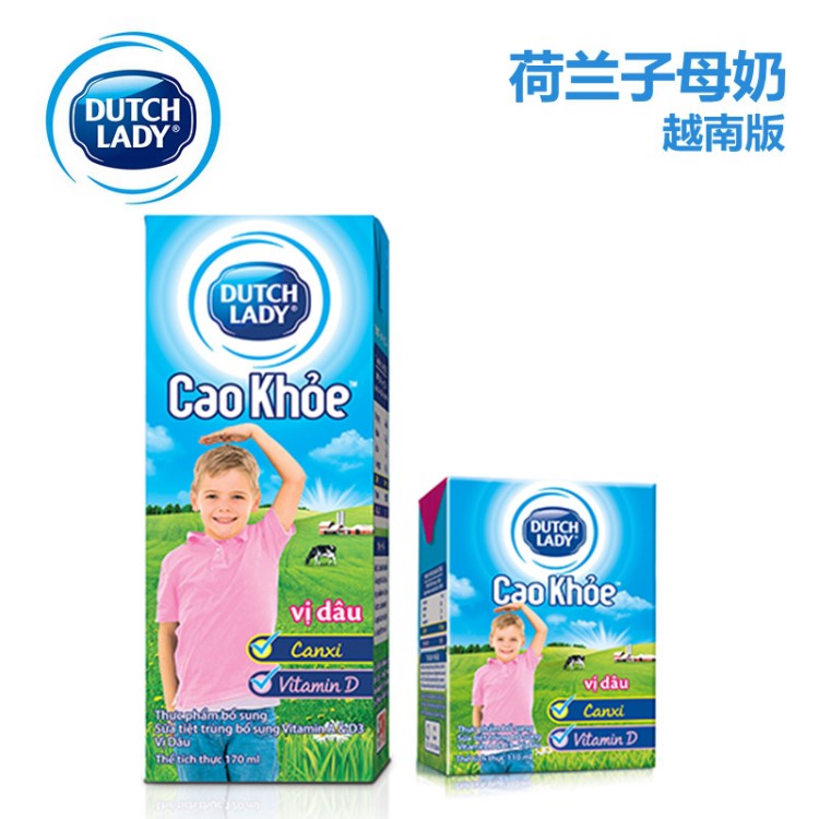 越南荷蘭菲仕蘭Dutch Lady子母奶草莓味學(xué)生兒童牛奶170ml*48