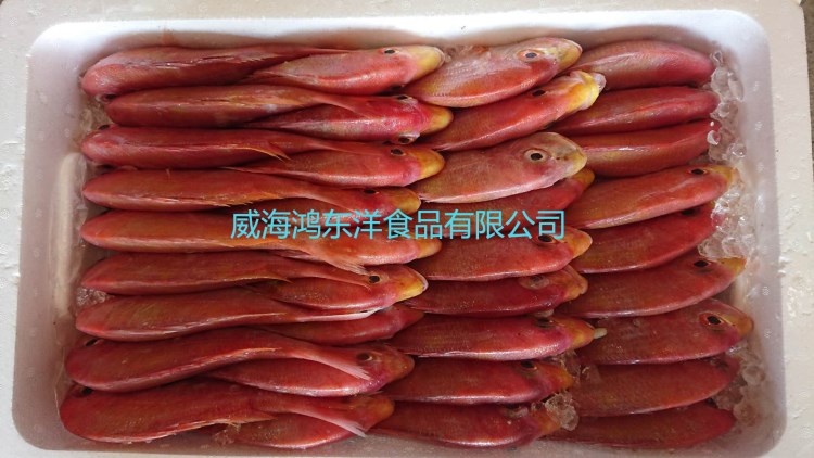 加吉魚片春節送禮禮品紅鯛魚片富貴紅魚片去鱗片調味魚片