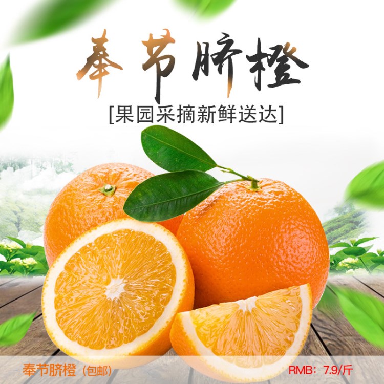 重慶特產(chǎn) 現(xiàn)摘奉節(jié)臍橙 精品91 重慶包郵新鮮橙子臍橙20斤禮品裝