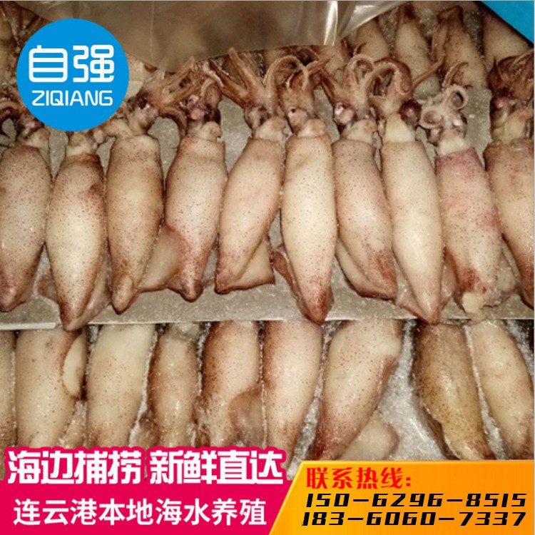 批發(fā)連云港特產(chǎn)海鮮干貨禮品盒籽烏，帶籽小海兔干烏籽筆管魚。